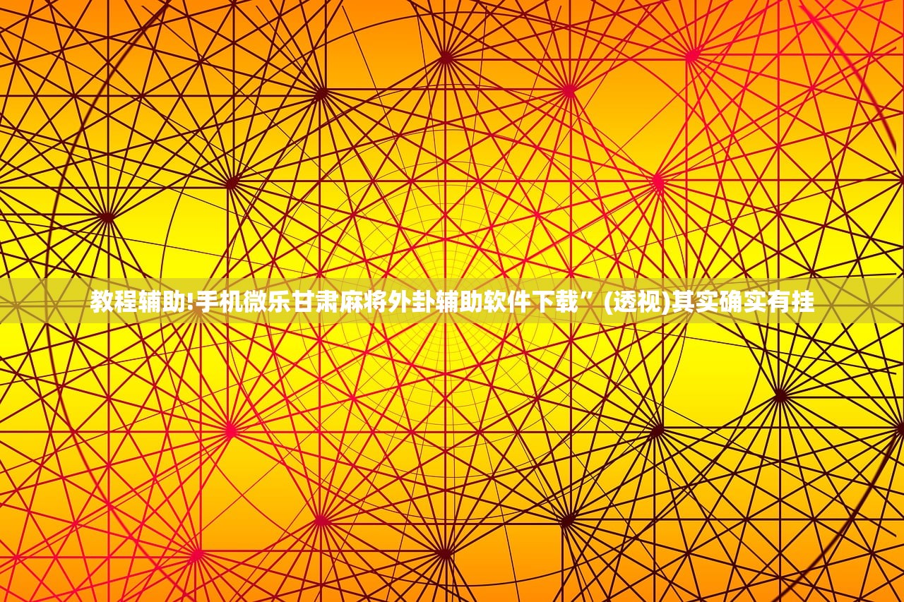 玩家辅助神器：微信十三张辅助器免费”详细分享装挂步骤