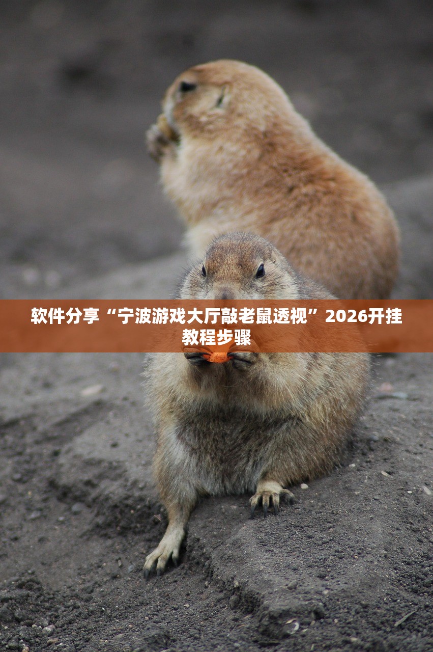 辅助神器“卡丁互娱炸金花有挂吗”(免费)开挂辅助教学(最新辅助开挂教程)