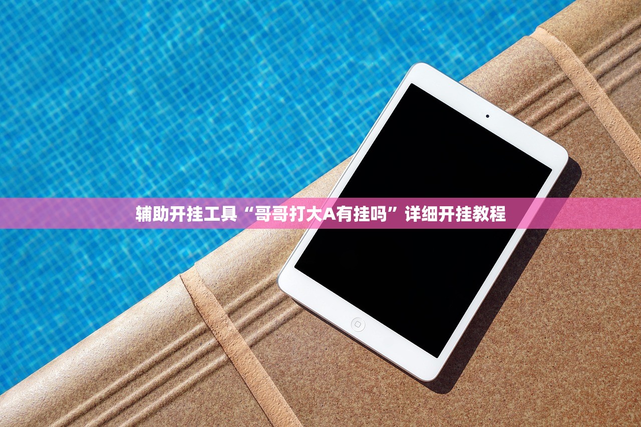 辅助开挂工具“哥哥打大A有挂吗”详细开挂教程