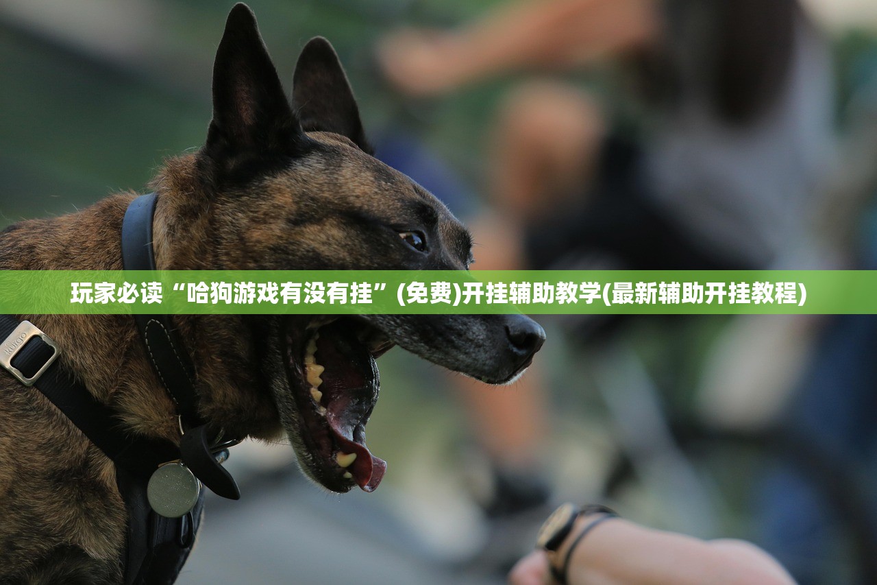 玩家必读“微乐麻将开挂器通用版”(透视)其实确实有挂