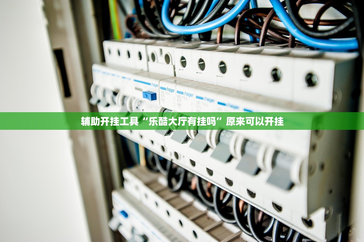 辅助开挂工具“乐酷大厅有挂吗”原来可以开挂