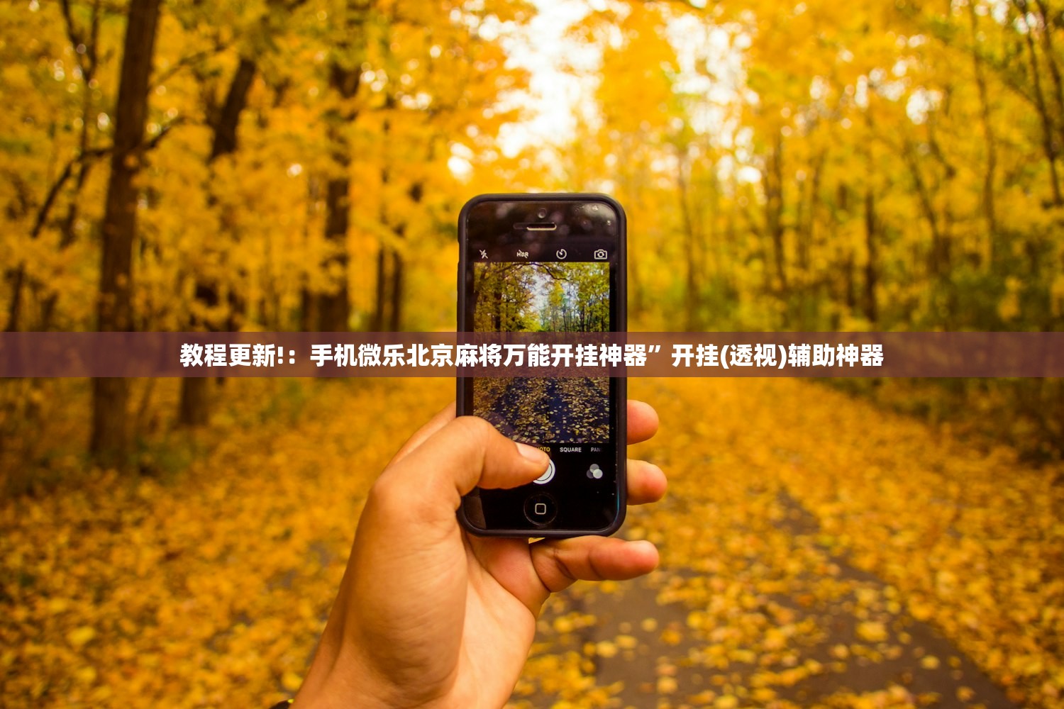 湖州最新疫情/湖州疫情最新消息发布区域