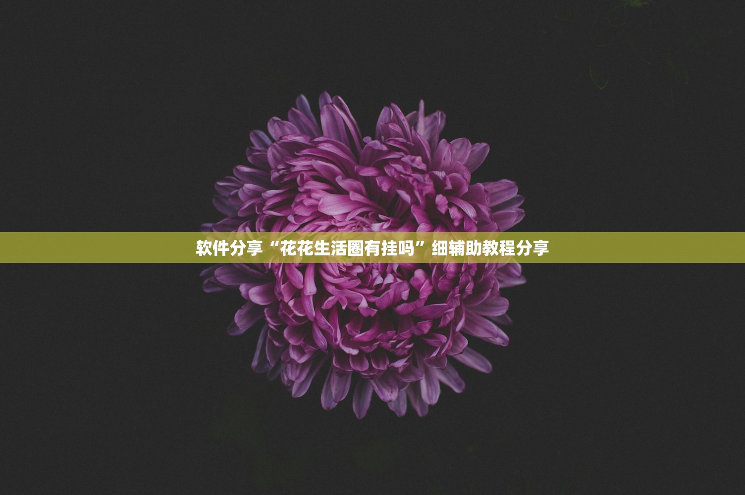 软件分享“花花生活圈有挂吗”细辅助教程分享