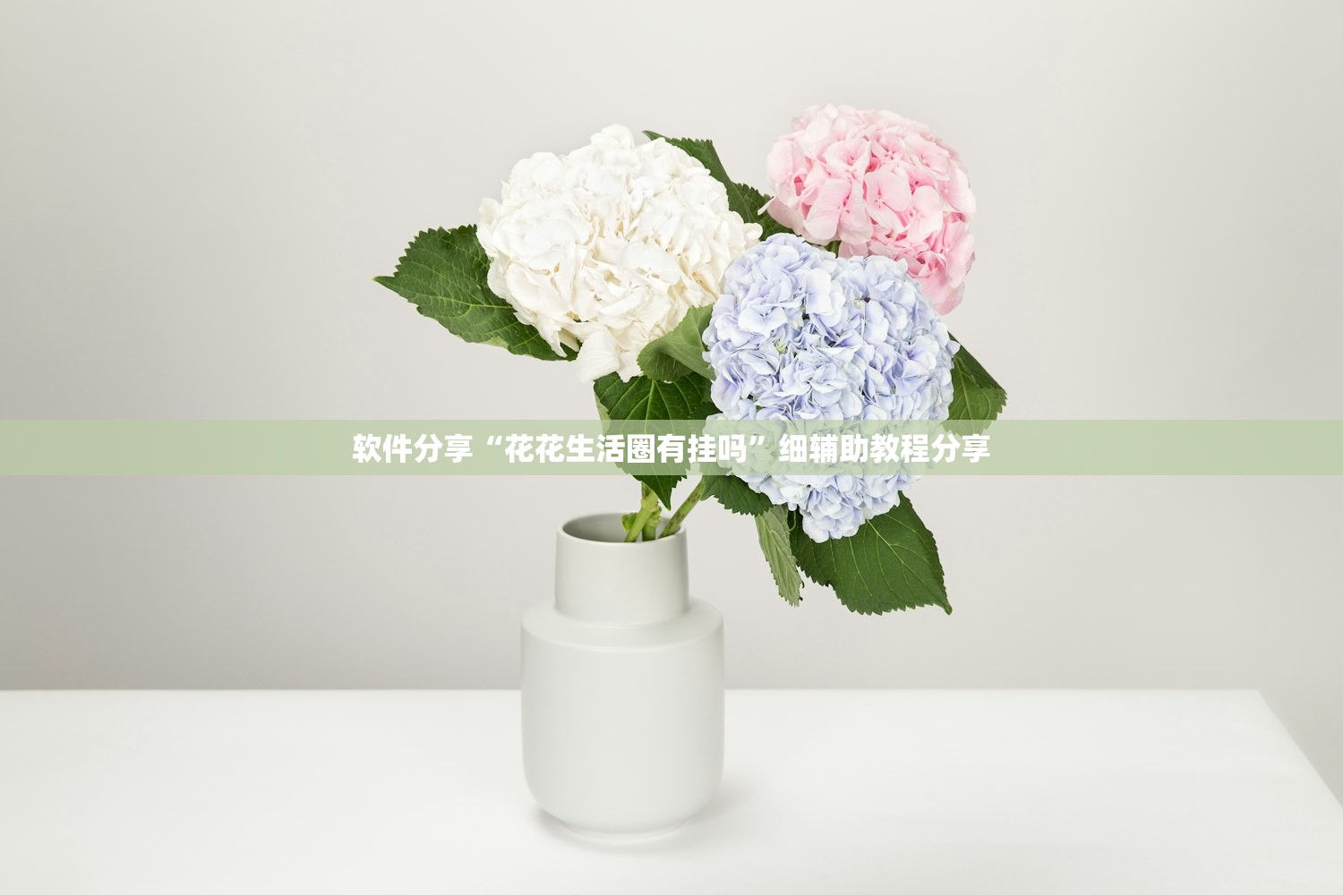 软件分享“花花生活圈有挂吗	”细辅助教程分享