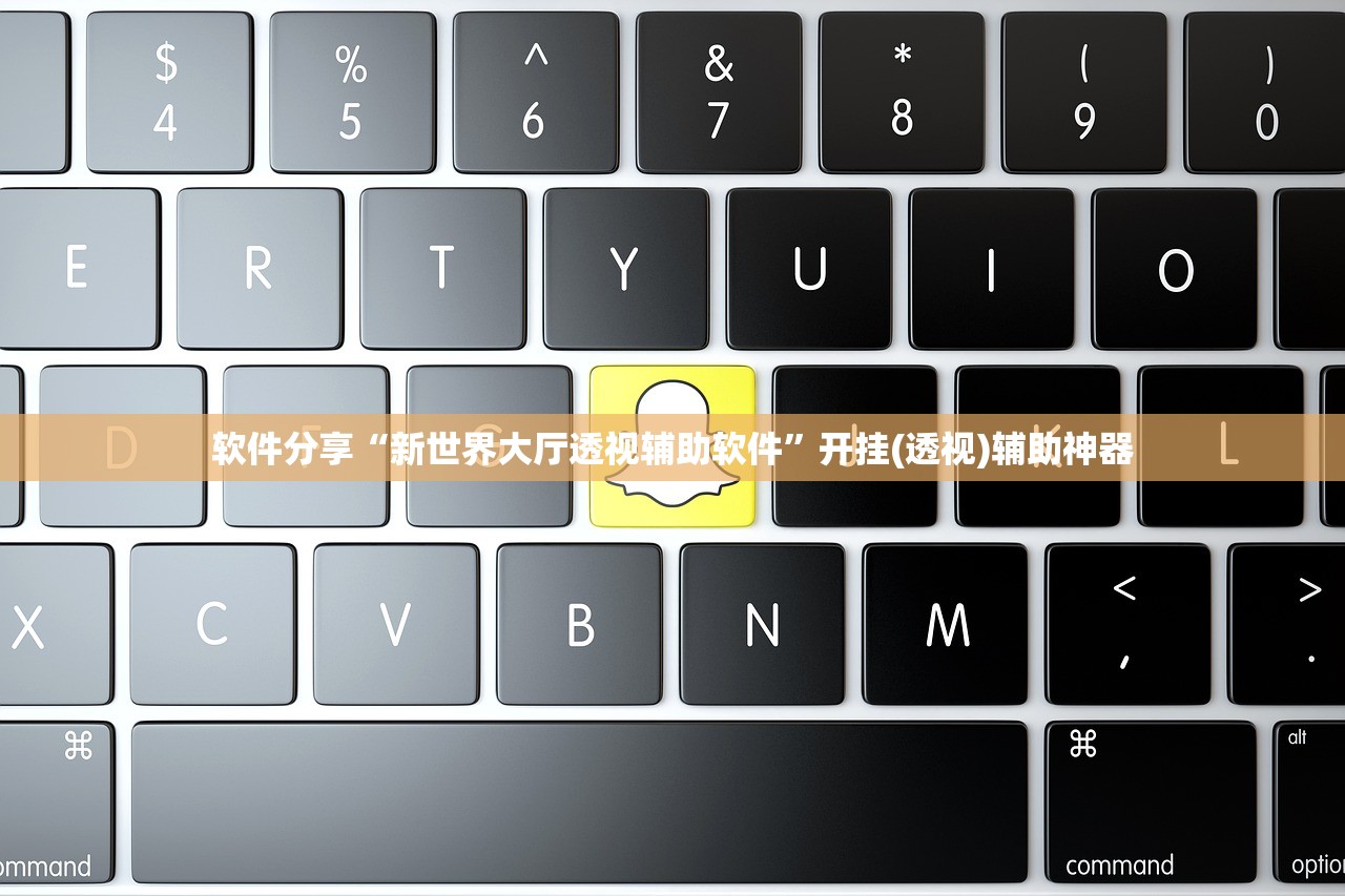 软件分享“新世界大厅透视辅助软件”开挂(透视)辅助神器