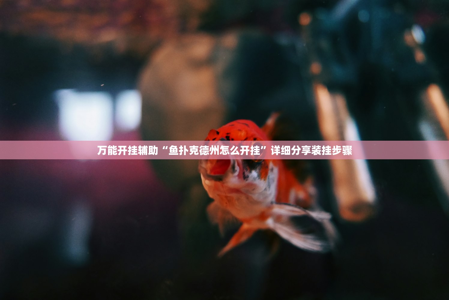 辅助神器“阳光巴厘岛有没有挂”(透视)其实确实有挂