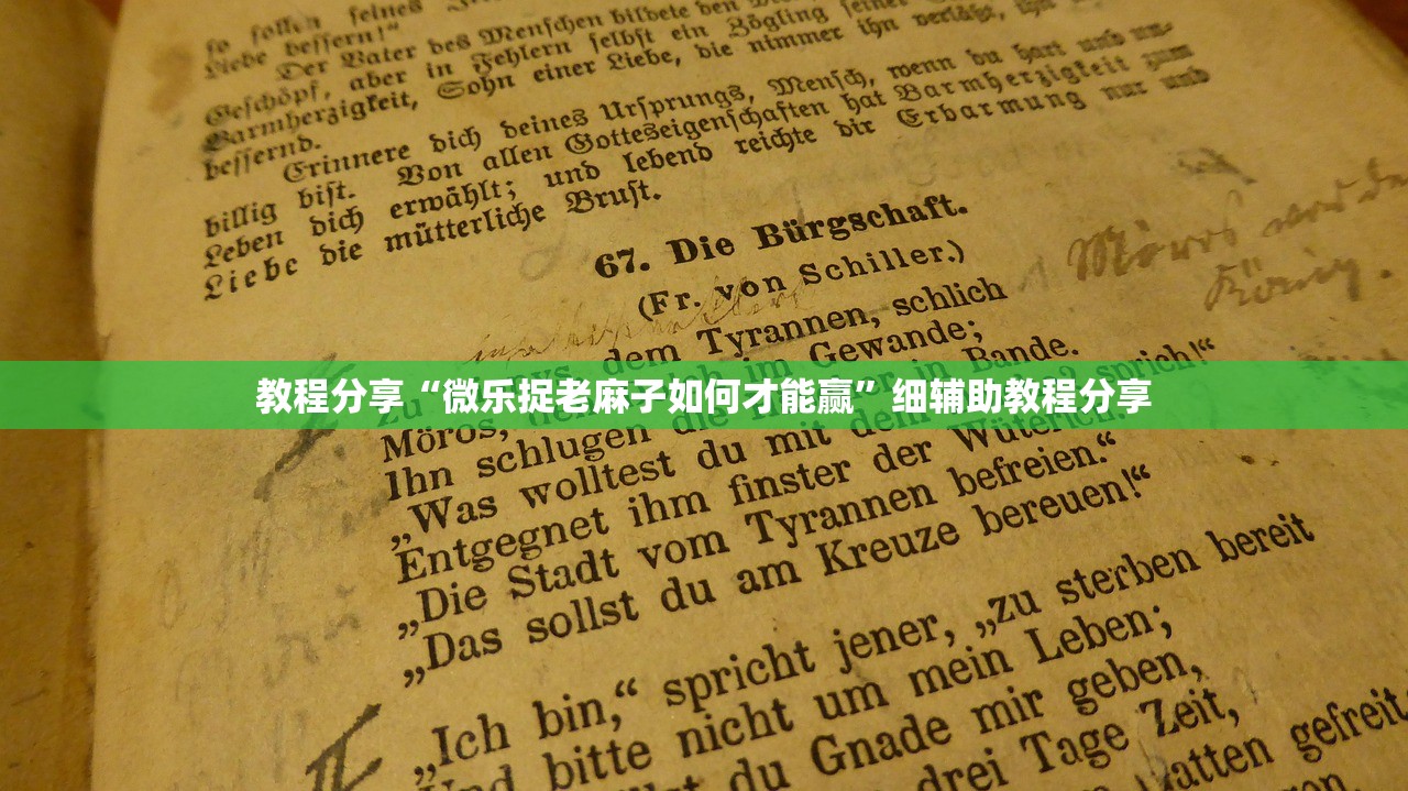 教程分享“微乐捉老麻子如何才能赢”细辅助教程分享