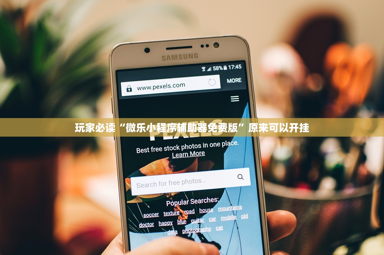 成都市最新防疫公告/成都市防疫最新文件