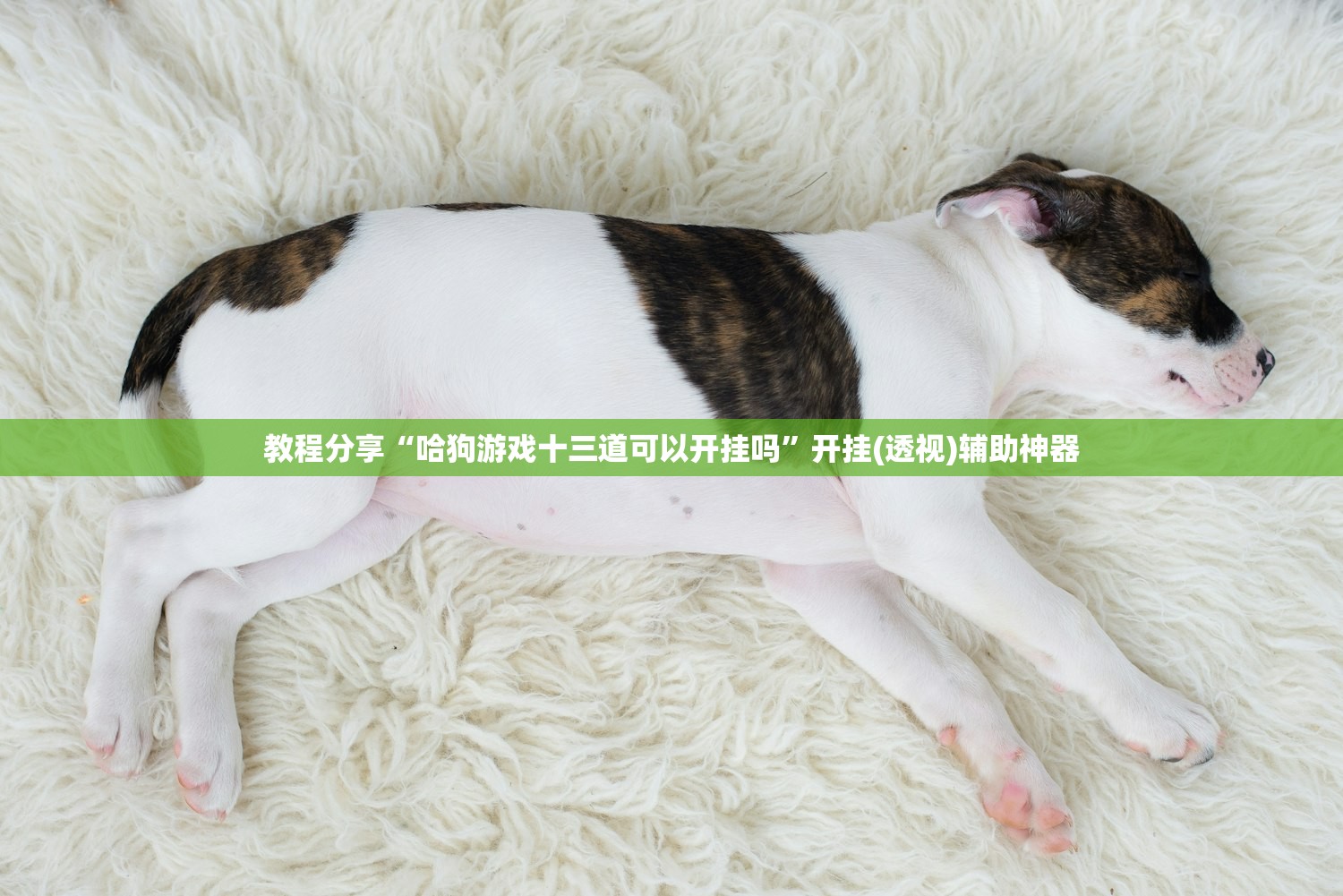 辅助开挂工具“边锋斗地主外卦辅助软件下载(透视)”开挂辅助脚本+详细开挂安装教程