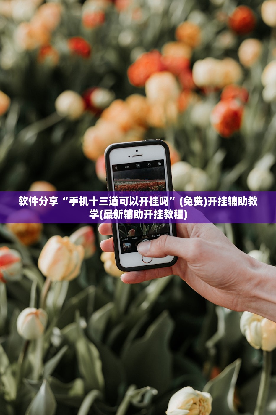 玩家辅助神器：手机十三张开挂辅助器通用版”细辅助教程分享