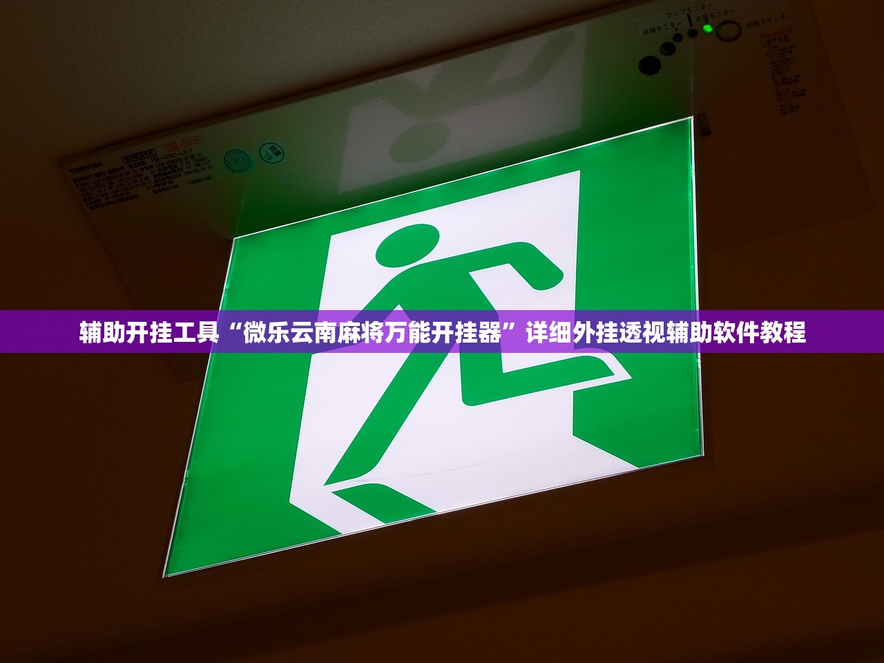 辅助神器“新星游有挂吗”(透视挂)辅助下载教程
