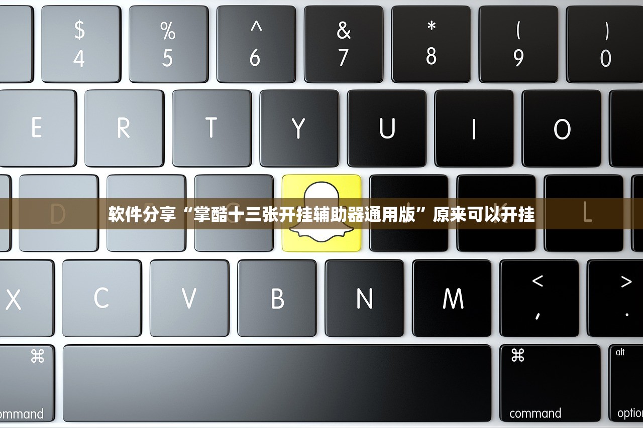 使用分享!闲来跑胡子到底有没有挂”细辅助教程分享