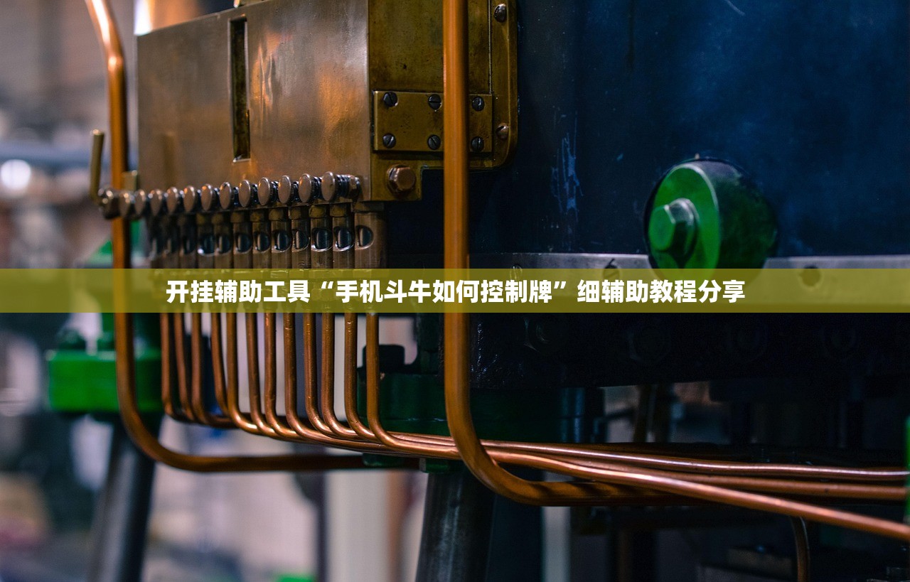 开挂辅助工具“手机斗牛如何控制牌	”细辅助教程分享