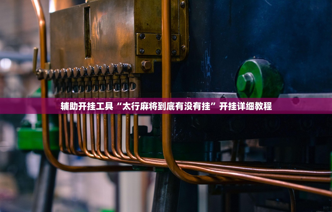 辅助开挂工具“太行麻将到底有没有挂	”开挂详细教程
