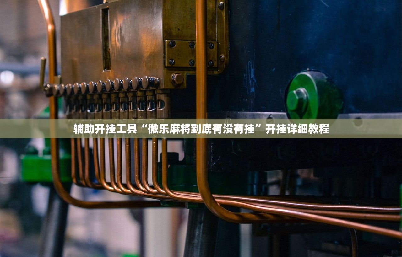 辅助开挂工具“微乐麻将到底有没有挂	”开挂详细教程