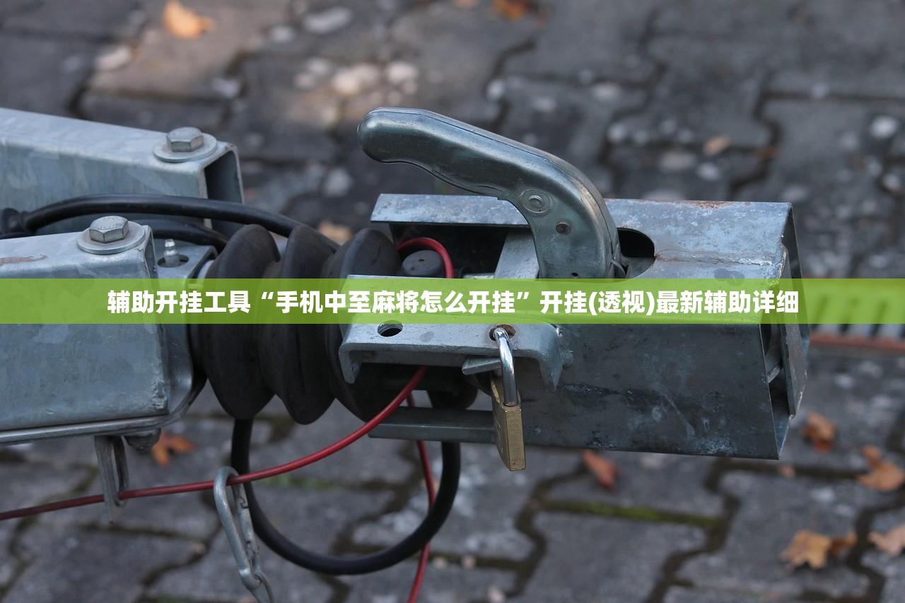 辅助开挂工具“手机中至麻将怎么开挂”开挂(透视)最新辅助详细