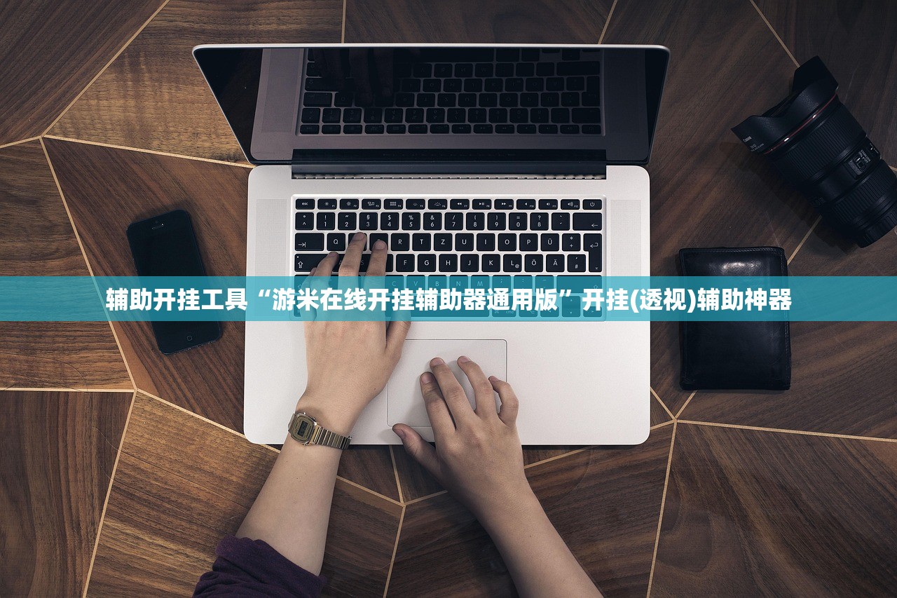 辅助开挂工具“游米在线开挂辅助器通用版	”开挂(透视)辅助神器