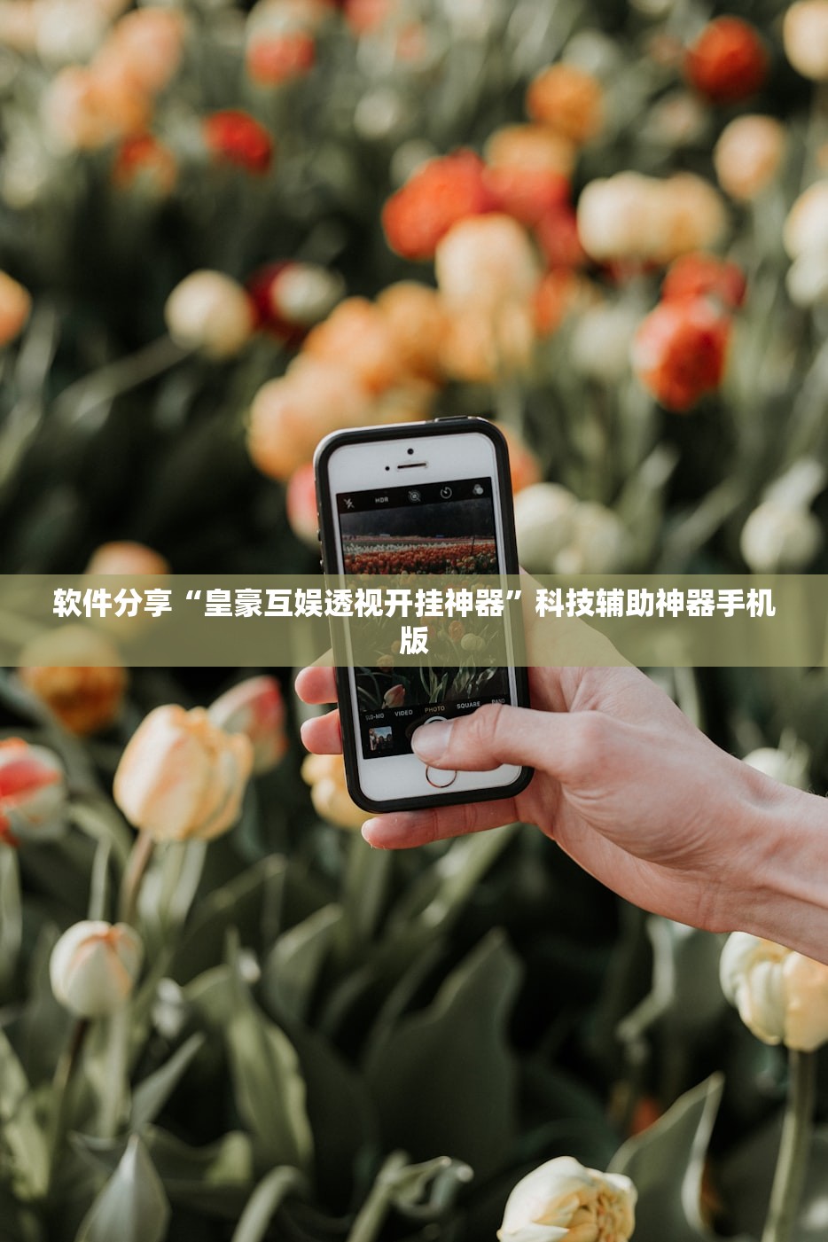 软件分享“皇豪互娱透视开挂神器”科技辅助神器手机版