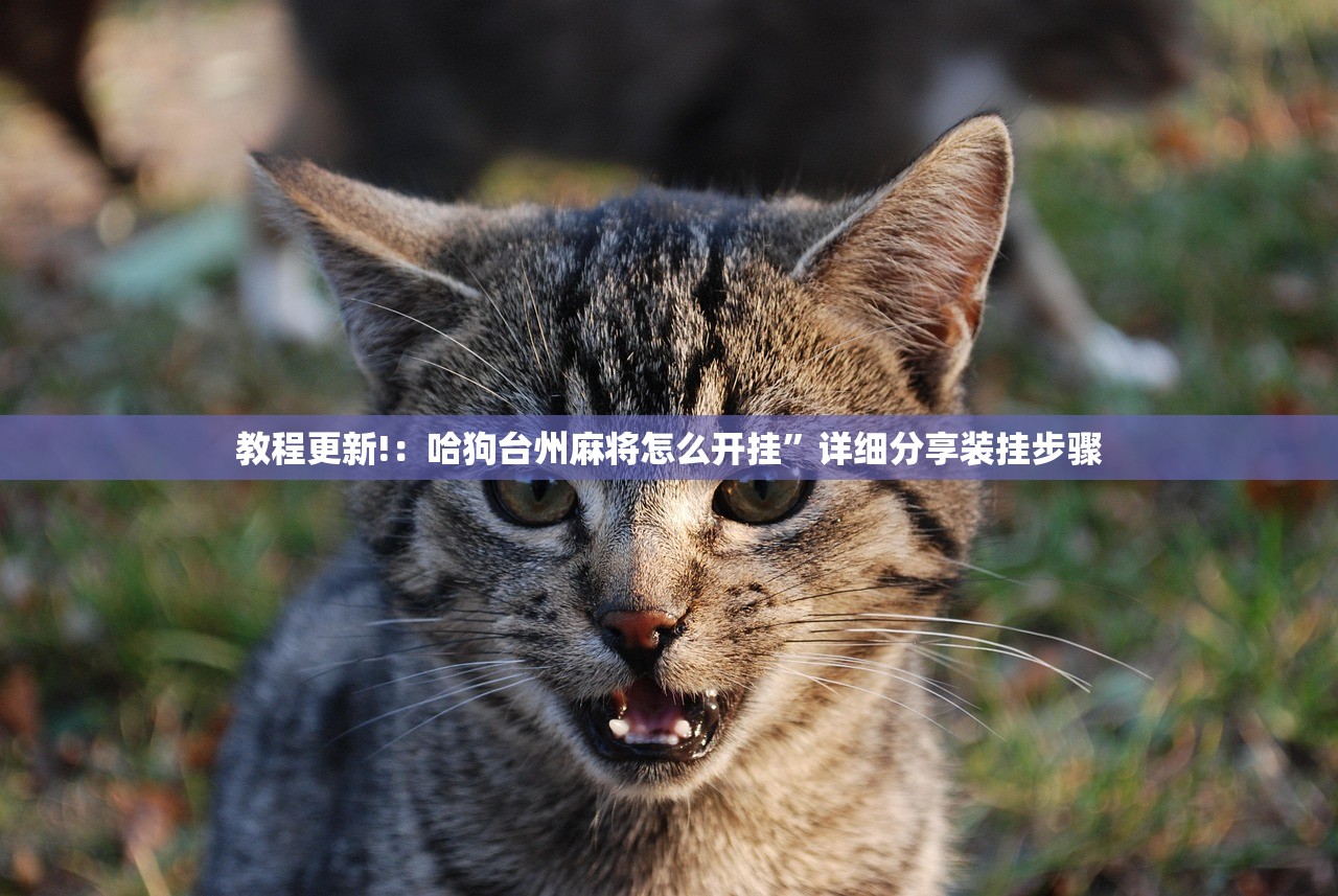 玩家辅助神器：手机上打麻将外卦辅助软件下载”(辅助神器)开挂详细教程