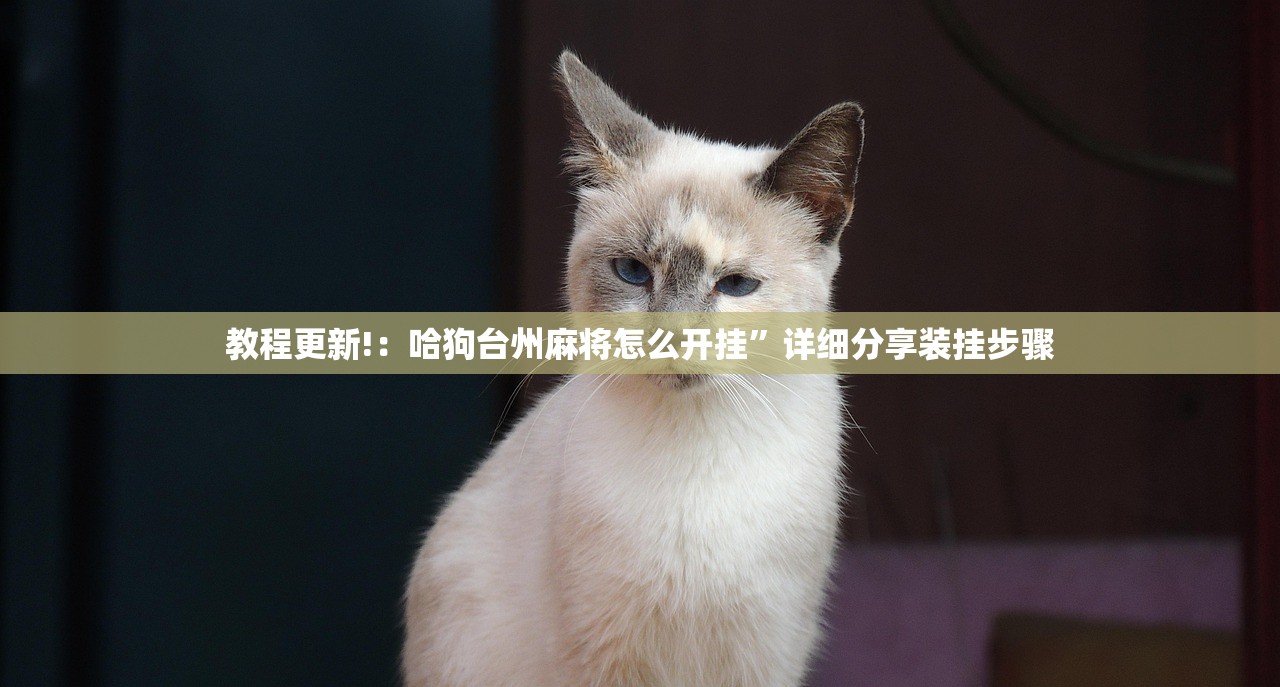 教程更新!：哈狗台州麻将怎么开挂”详细分享装挂步骤