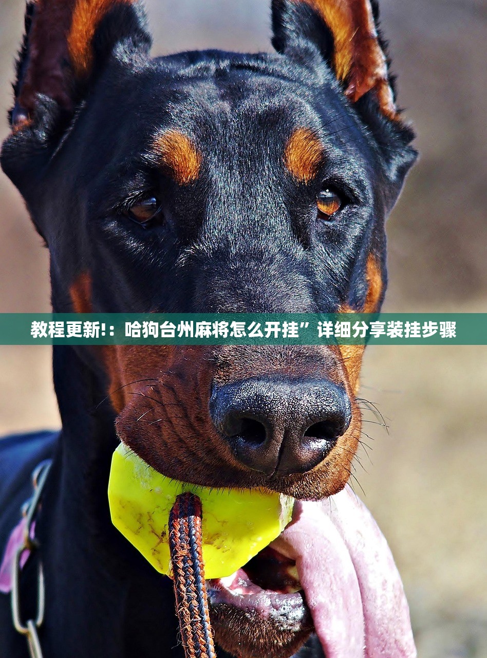 教程更新!：哈狗台州麻将怎么开挂”详细分享装挂步骤
