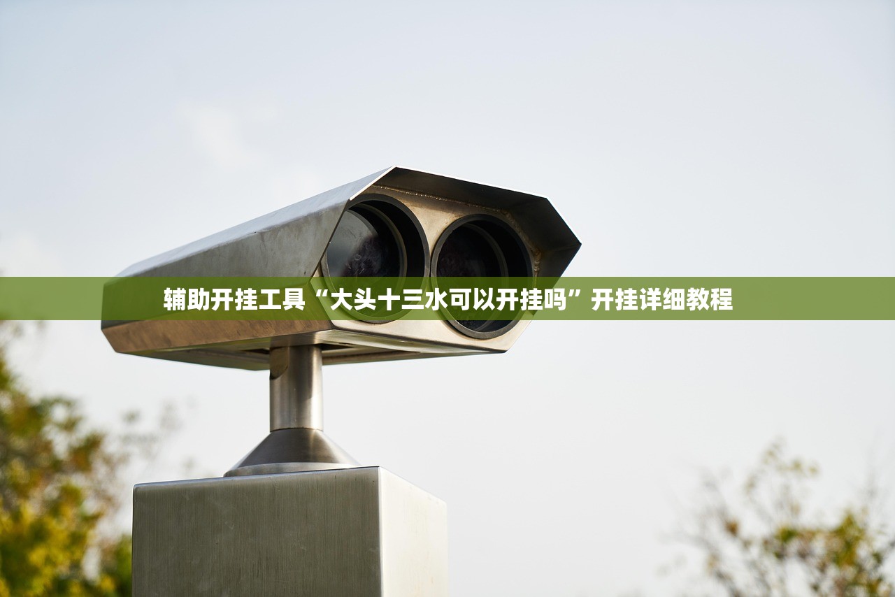 辅助开挂工具“大头十三水可以开挂吗”开挂详细教程