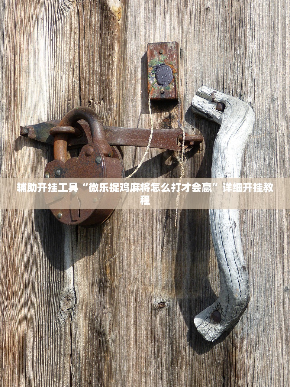 开挂辅助工具“财神十三张骗局揭秘视频”(辅助神器)开挂详细教程