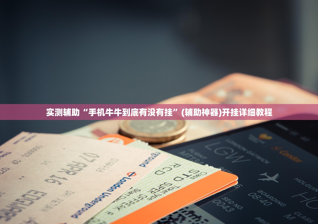 实测辅助“新祥心大厅有挂吗”细辅助教程分享