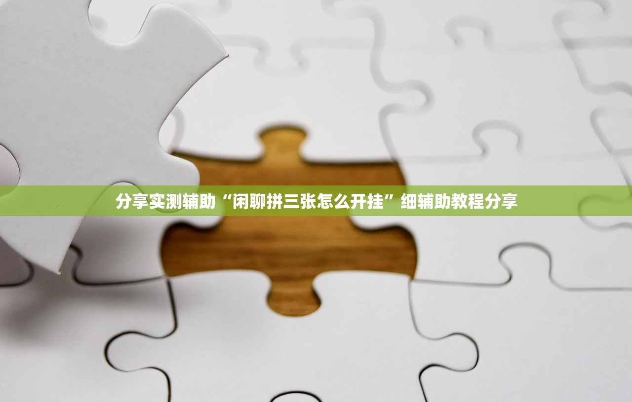 分享实测辅助“闲聊拼三张怎么开挂”细辅助教程分享