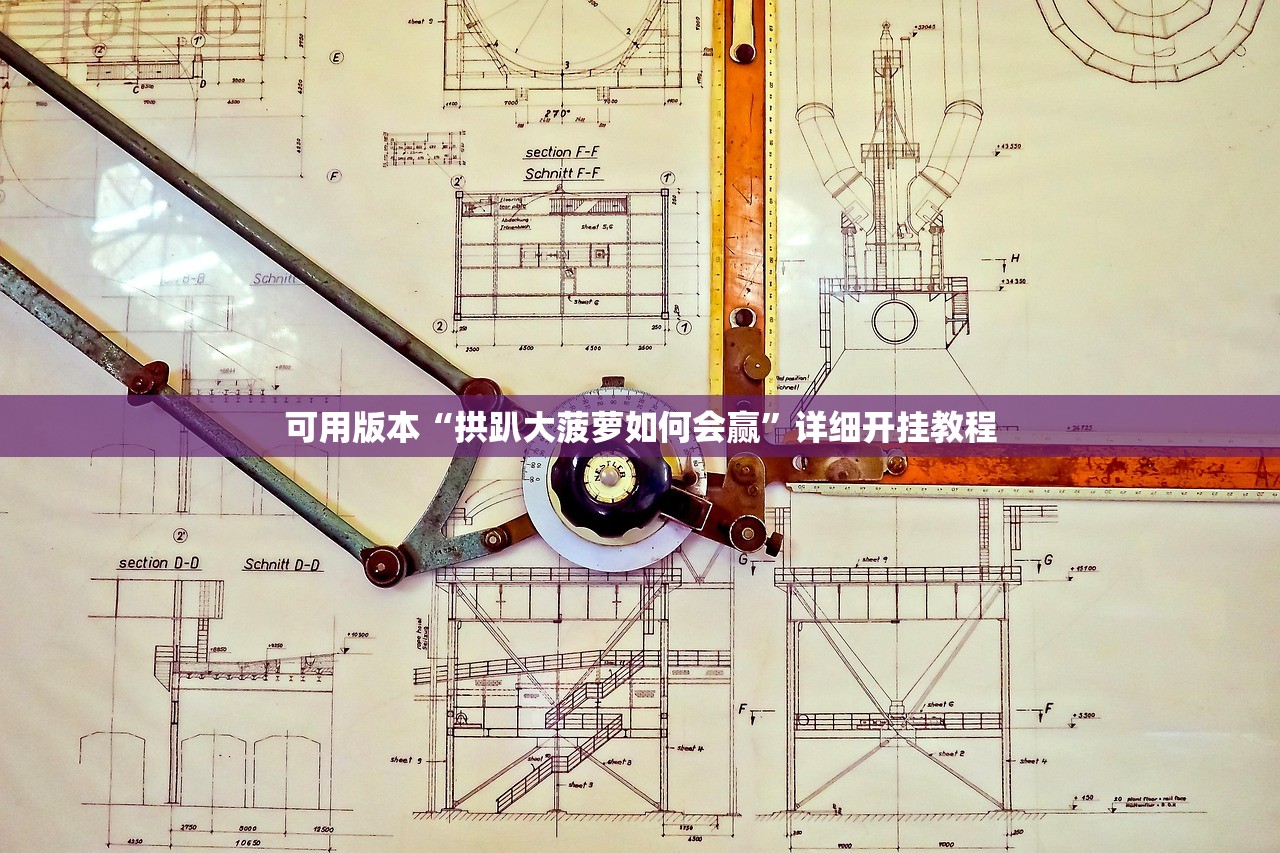 可用版本“拱趴大菠萝如何会赢”详细开挂教程