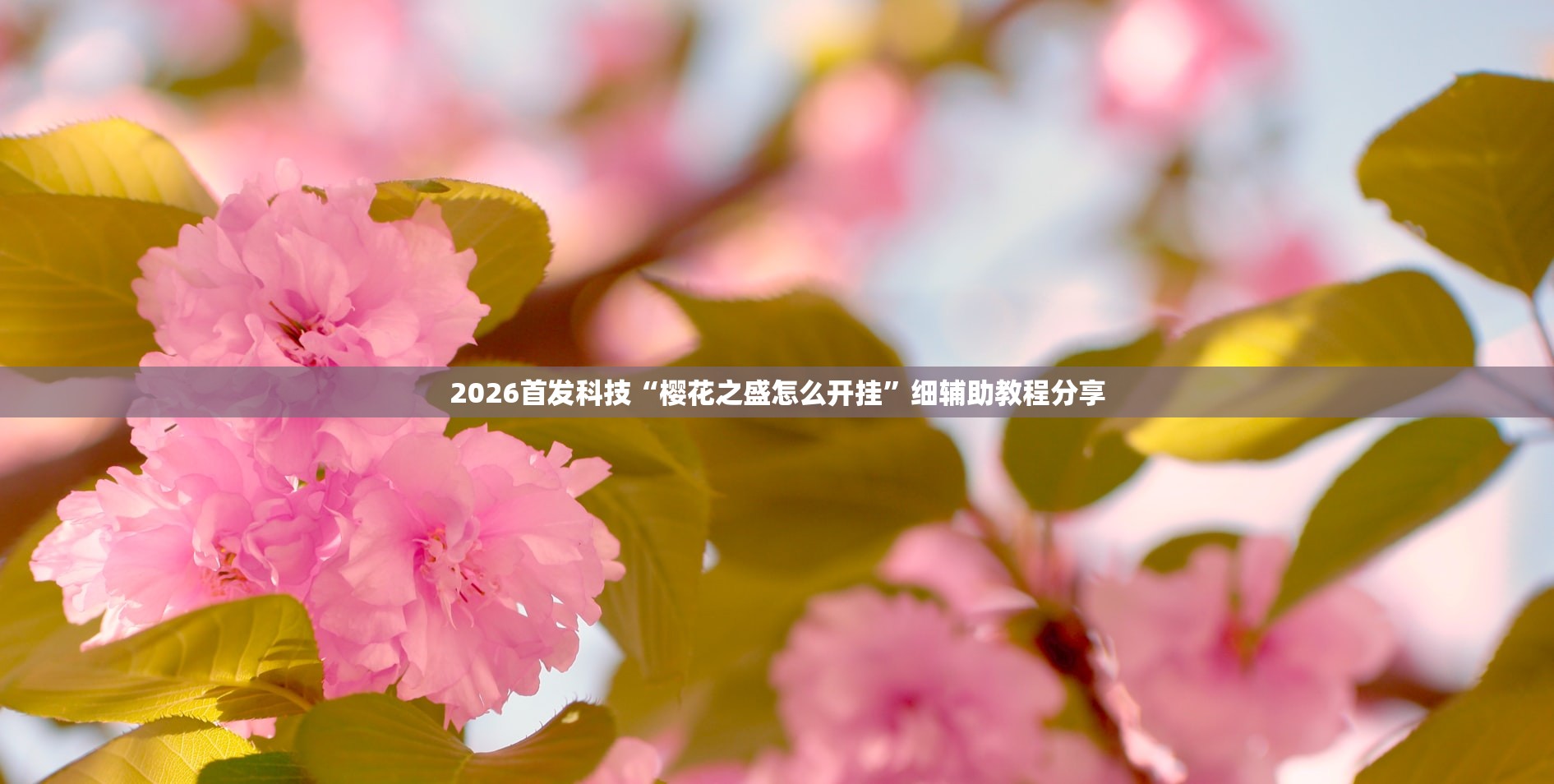 必备科技“369麻将怎么开挂方法”(辅助神器)开挂详细教程