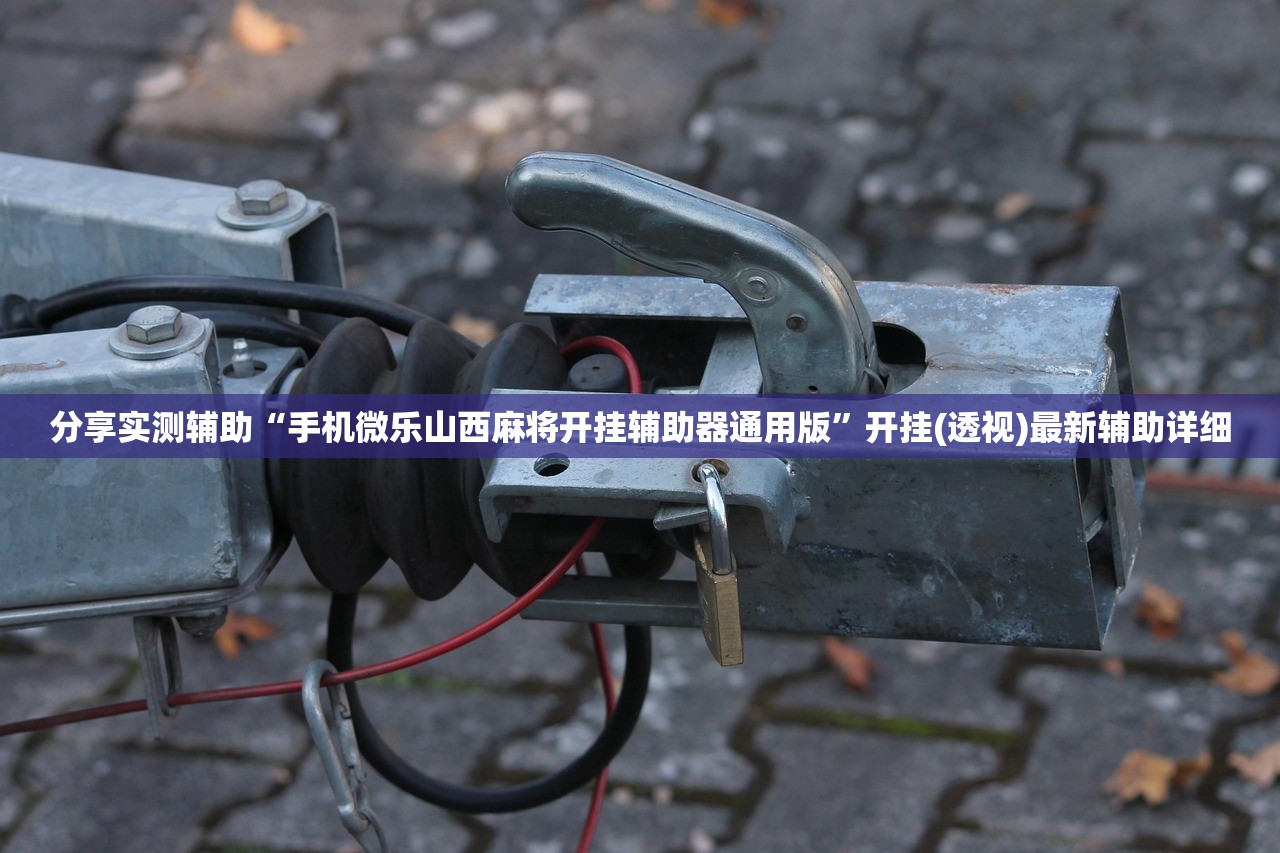 分享实测辅助“手机微乐山西麻将开挂辅助器通用版”开挂(透视)最新辅助详细