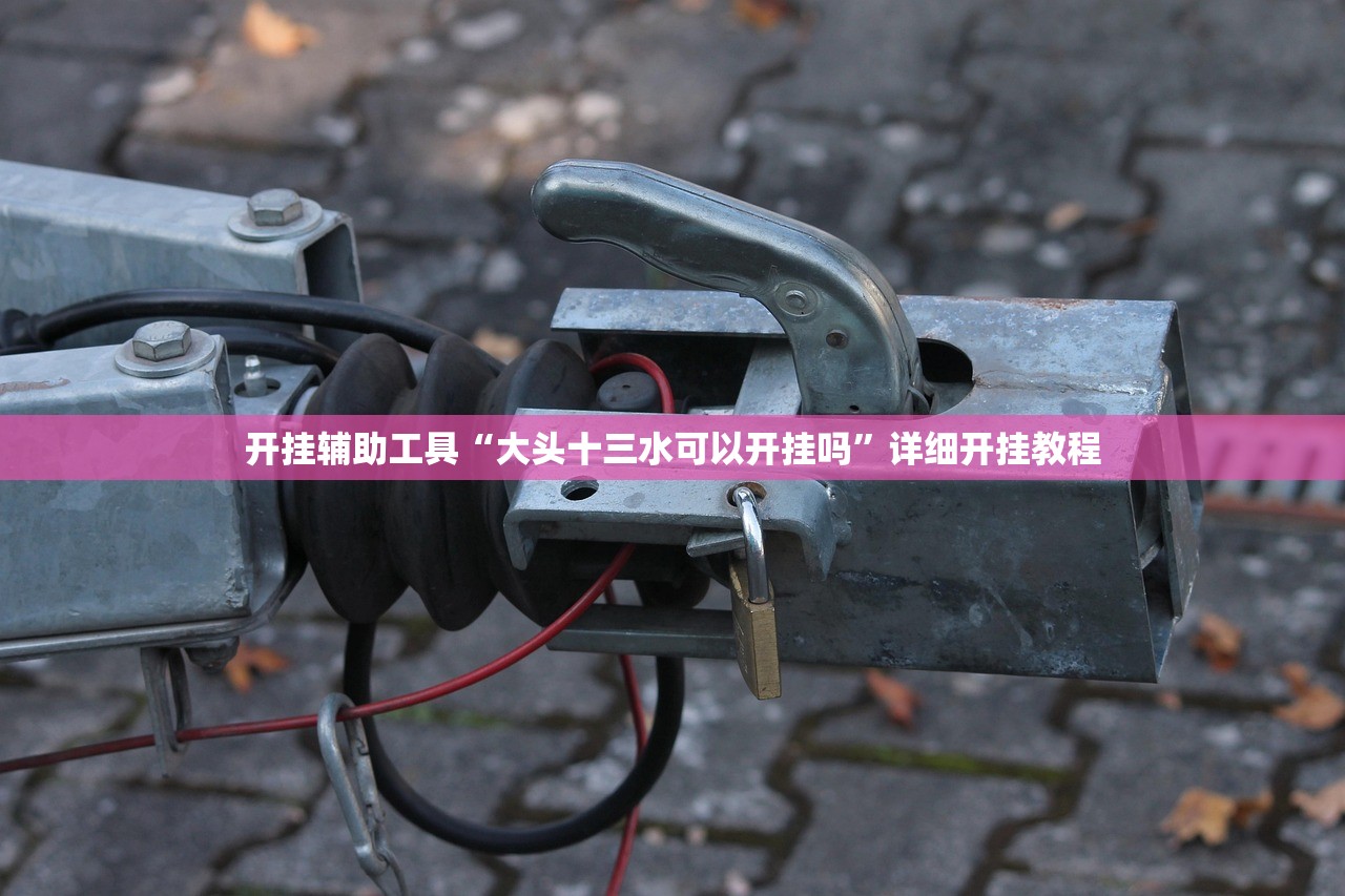 开挂辅助工具“大头十三水可以开挂吗”详细开挂教程