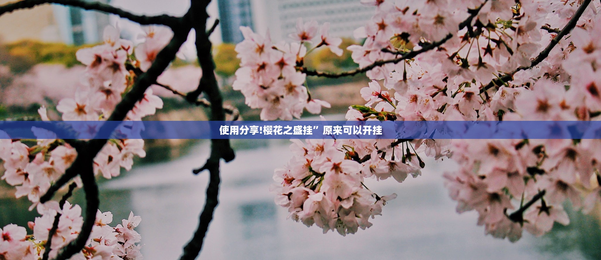 本轮疫情扩散至14省27市/本轮疫情再传一省,官方紧急提醒
