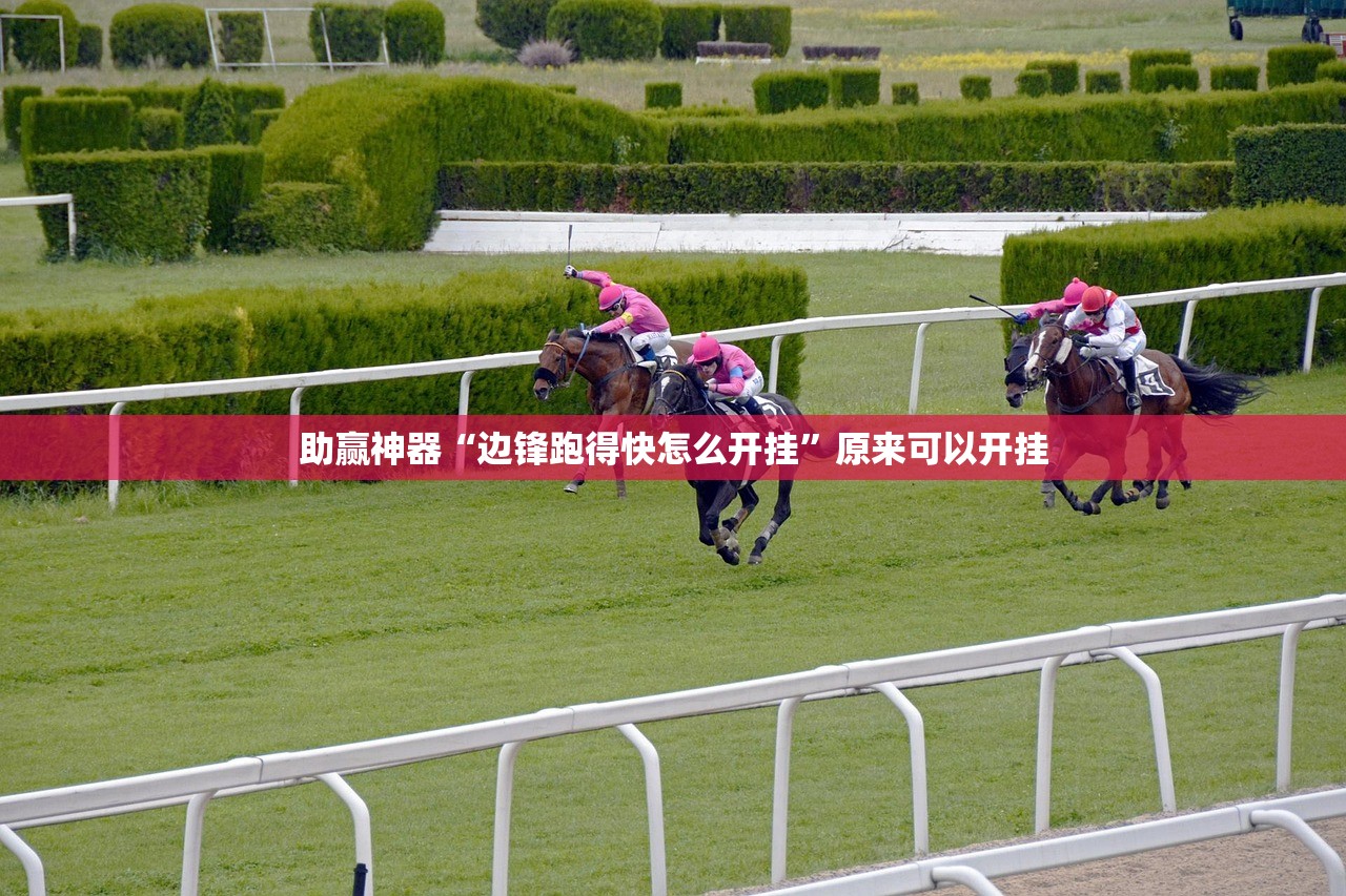 今日教程“欢乐情怀可以开挂吗”(透视挂)辅助下载教程