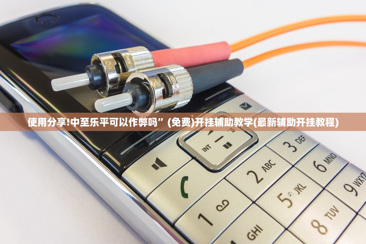 教程分享“新神皇有挂吗”详细分享装挂步骤