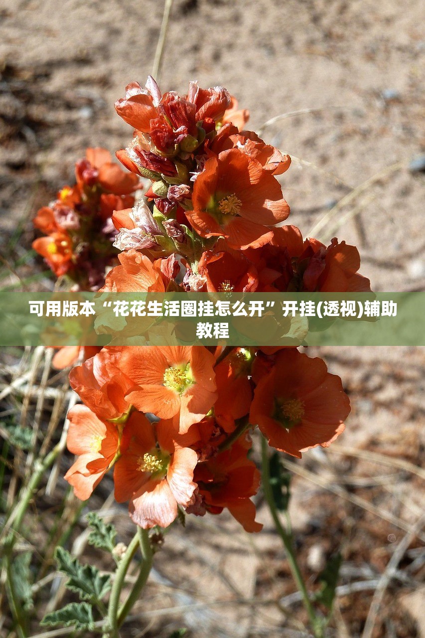 开挂辅助工具“手机斗牛有挂吗”开挂辅助脚本+详细开挂安装教程