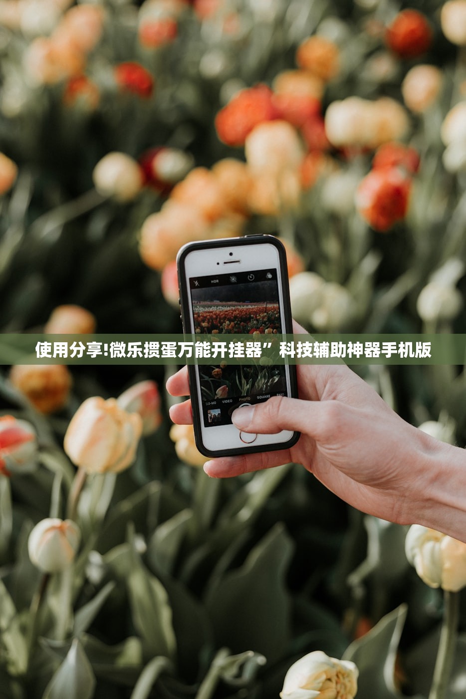 使用分享!微乐掼蛋万能开挂器”科技辅助神器手机版