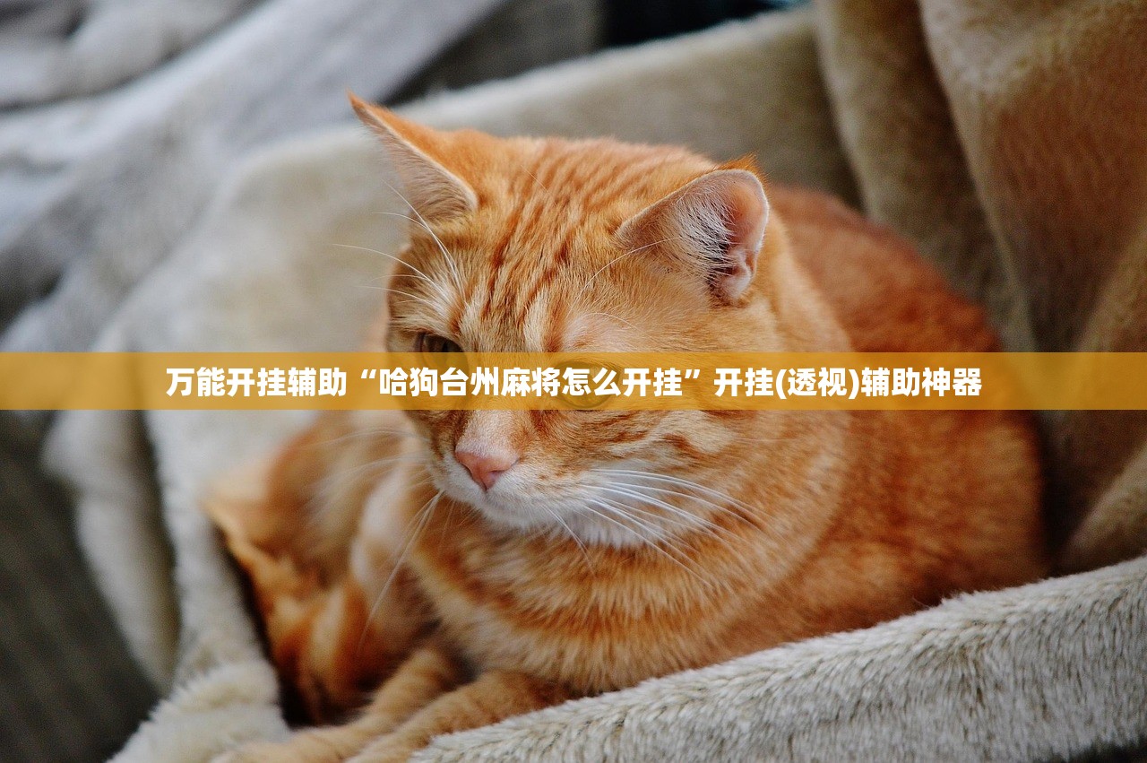 万能开挂辅助“哈狗台州麻将怎么开挂”开挂(透视)辅助神器