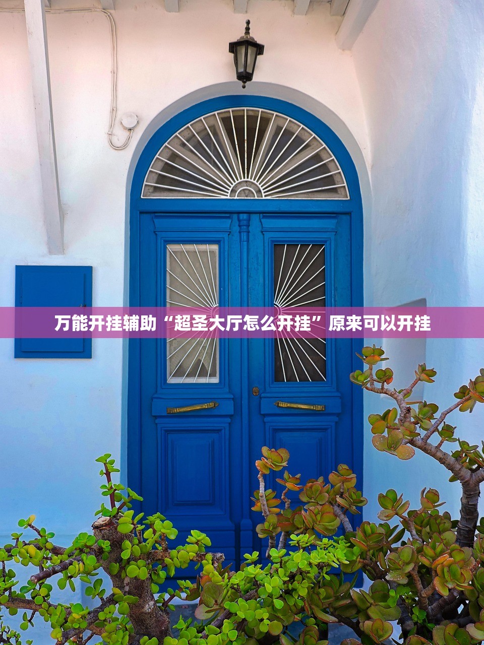 ao2价位和档次:ao2的价位和档次