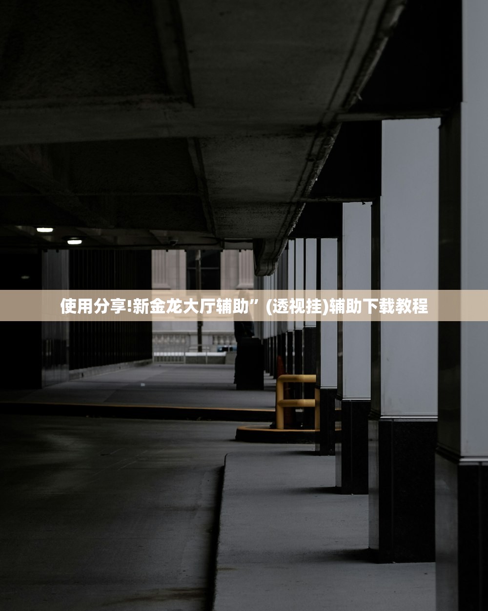 使用分享!新金龙大厅辅助”(透视挂)辅助下载教程
