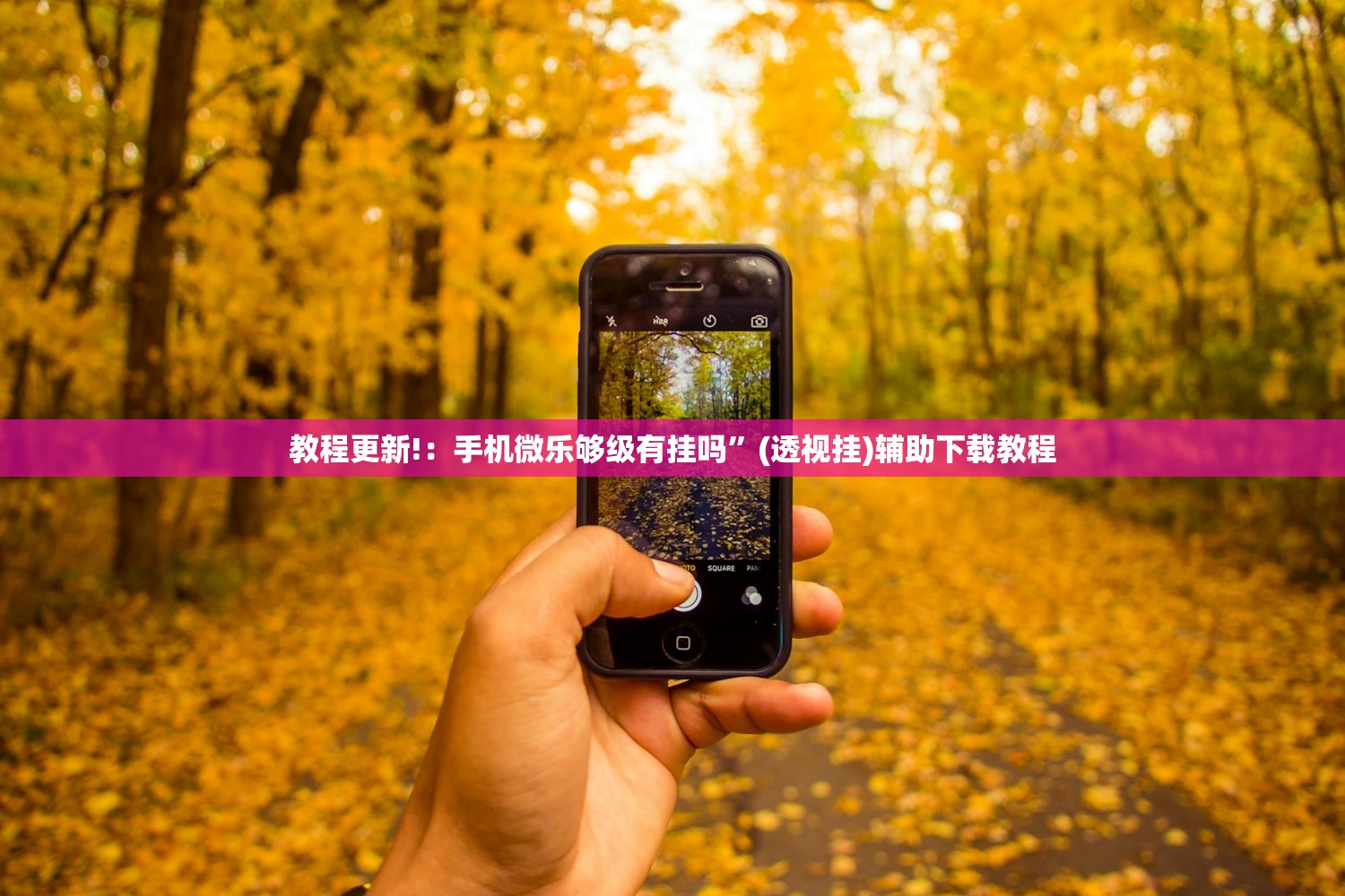 教程更新!：手机微乐够级有挂吗”(透视挂)辅助下载教程