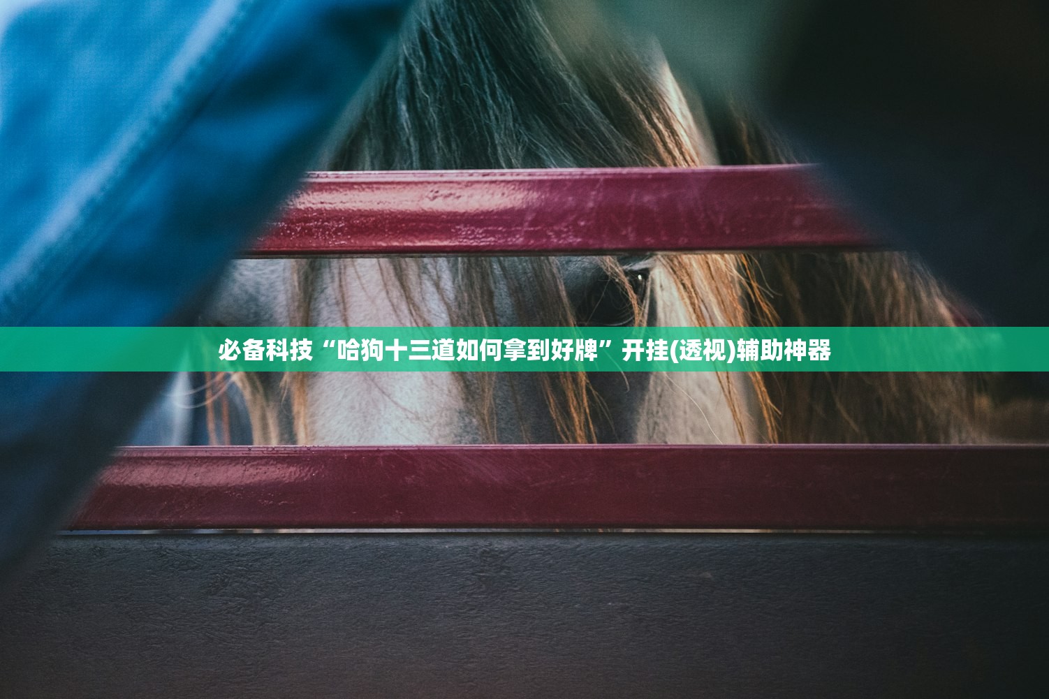 【美国确诊病例超过138万/美国确诊病例超63万】