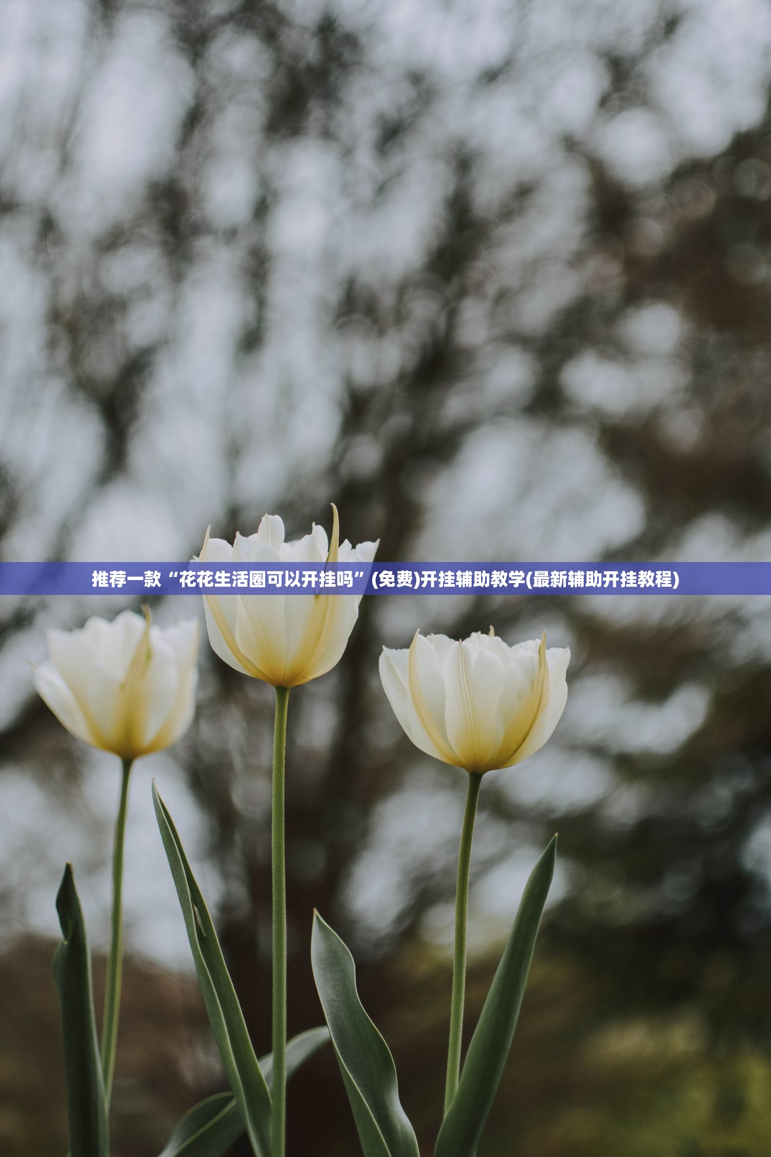 推荐一款“花花生活圈可以开挂吗”(免费)开挂辅助教学(最新辅助开挂教程)