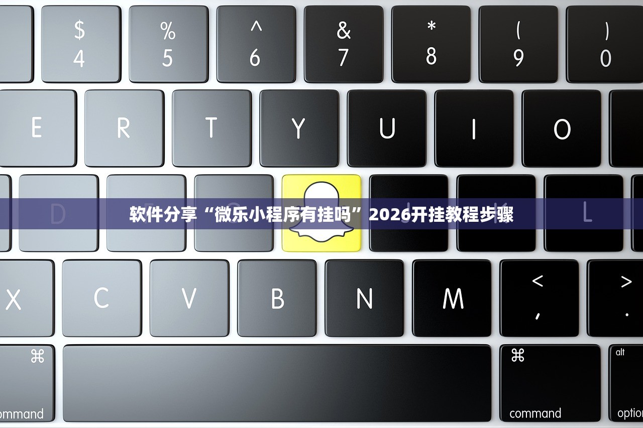 实测辅助“大众掌游怎么开挂”详细分享装挂步骤