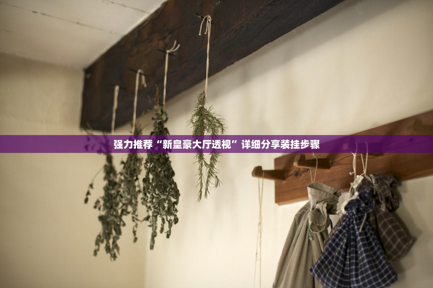 强力推荐“新皇豪大厅透视”详细分享装挂步骤
