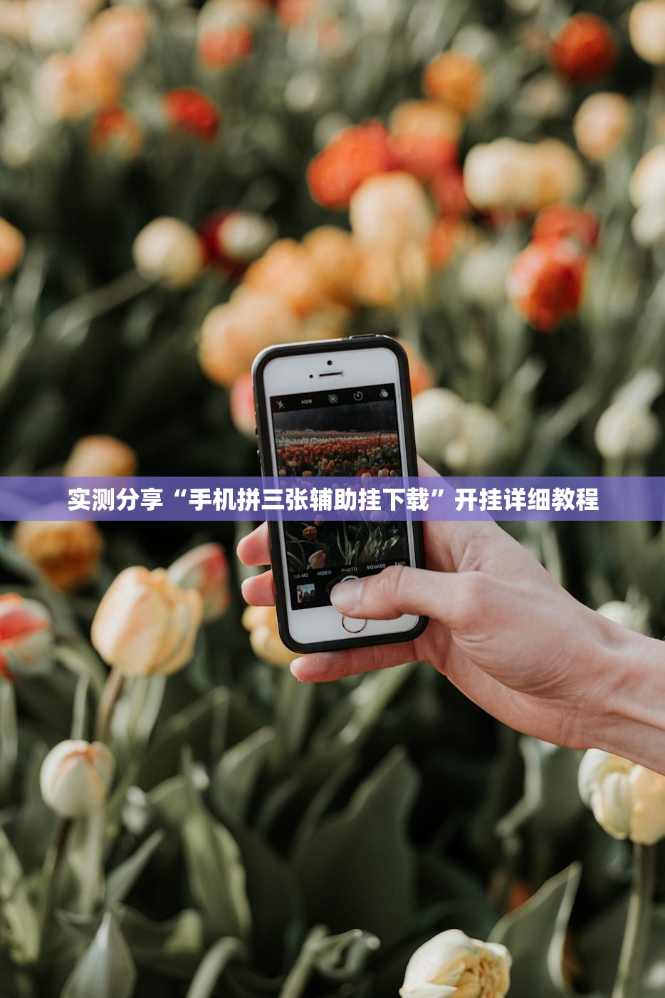 实测分享“手机拼三张辅助挂下载”开挂详细教程