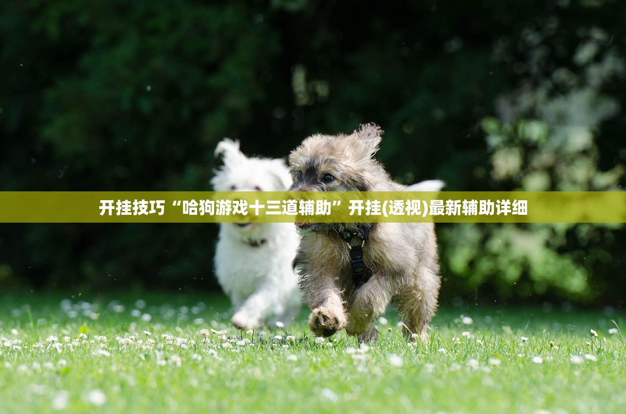 玩家辅助神器：微乐山西扣点点麻将微信小程序挂”(透视挂)辅助下载教程