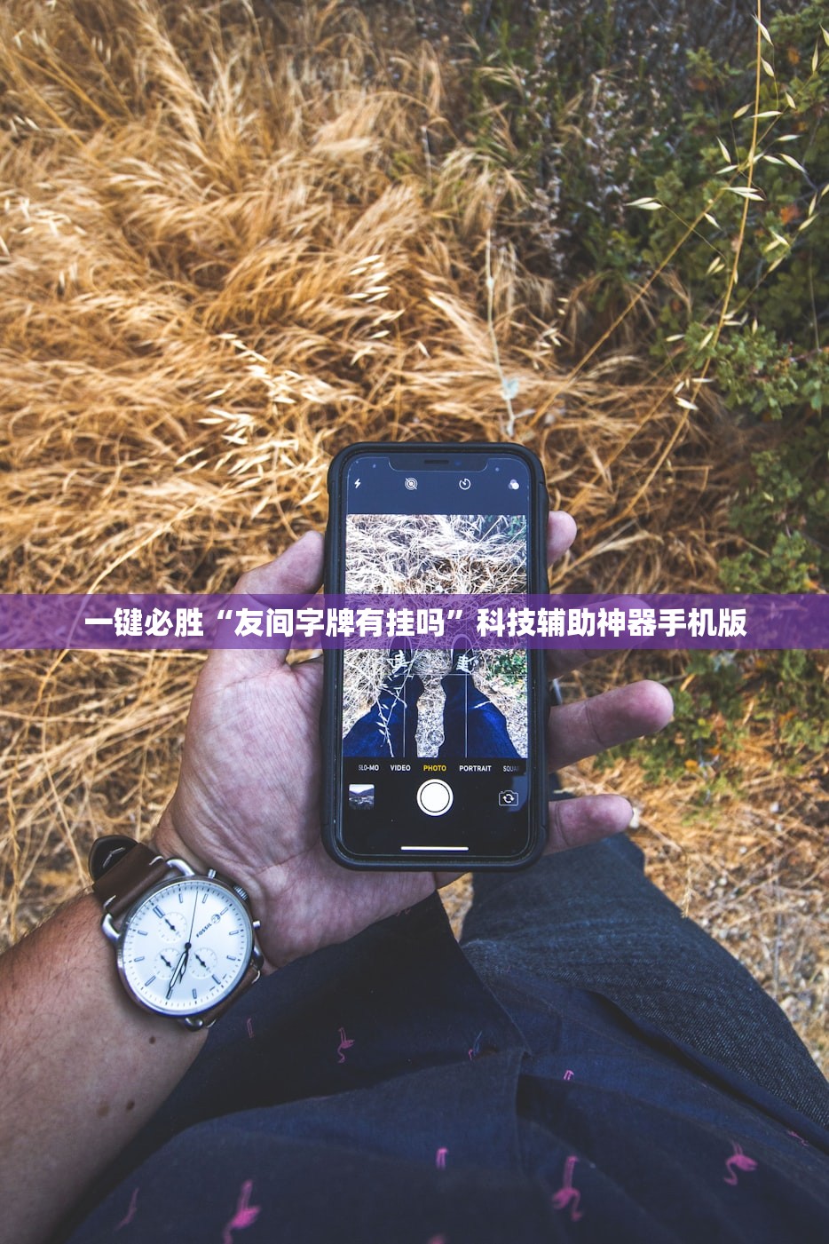 使用分享!闲聊拼三张怎么开挂”2026开挂教程步骤