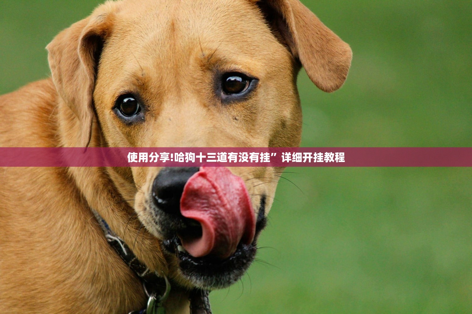 温州瑞安小货车限行:瑞安市区小货车限行吗